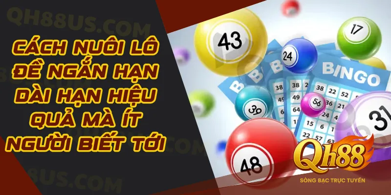 Cách nuôi lô đề ngắn hạn dài hạn