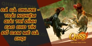 Đá Gà Online